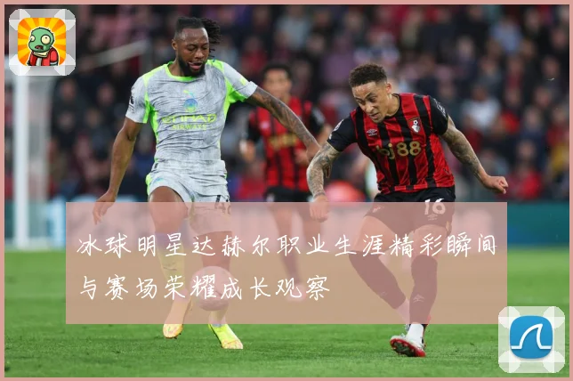 冰球明星达赫尔职业生涯精彩瞬间与赛场荣耀成长观察