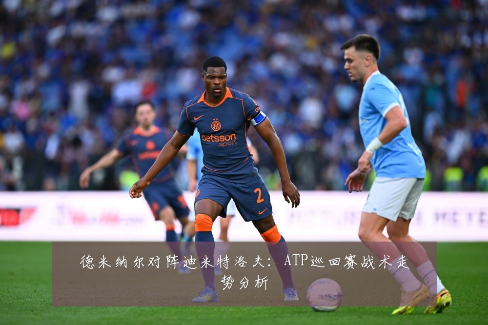 德米纳尔对阵迪米特洛夫：ATP巡回赛战术走势分析
